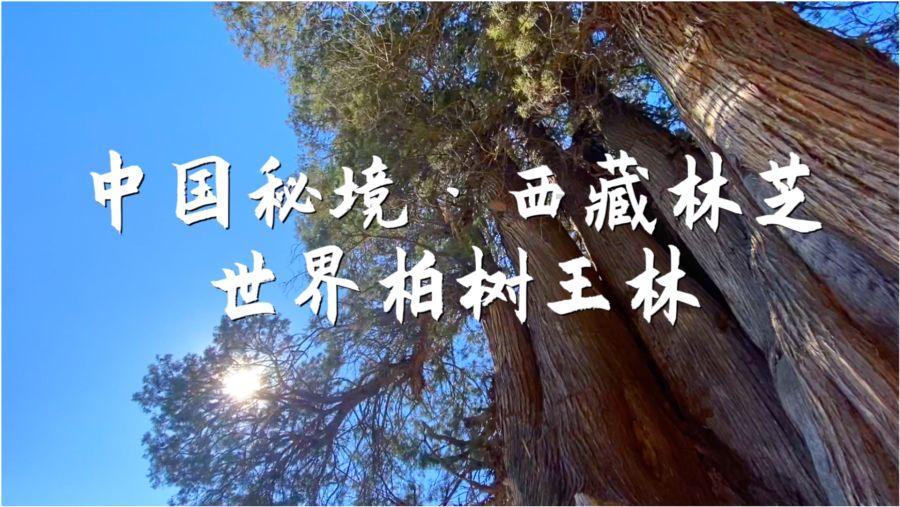 罗马诺:曼联将04年小将丹-戈尔外租至英甲球队维尔港